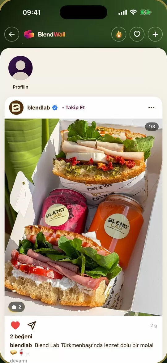 Markanın sosyal akışı BlendWall